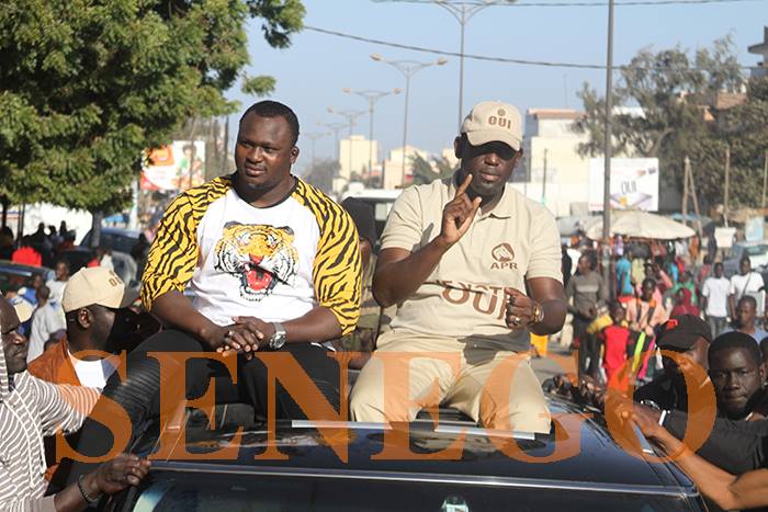 Modou Lo camp du oui (3)