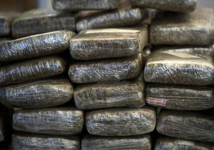 Douane: 751,9 kg de chanvre indien saisis au premier trimestre
