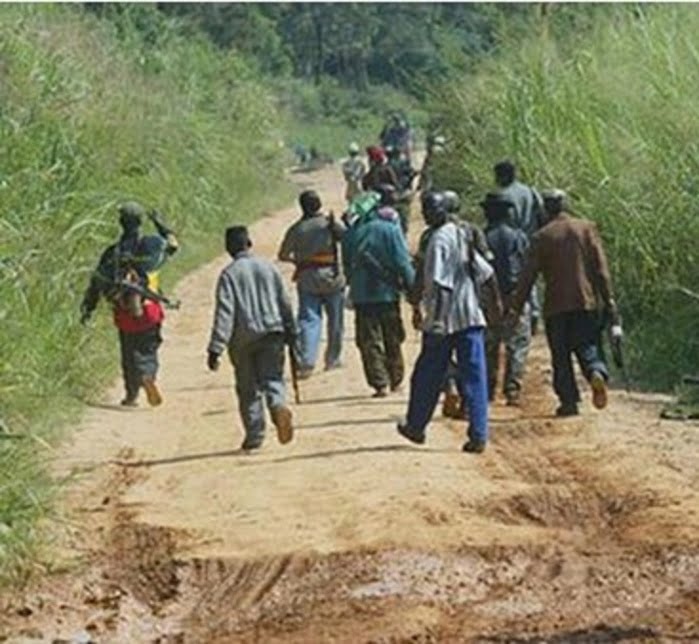 Des assaillants ont ouvert  le feu à Balantacounda sur un jeune sans l’atteindre