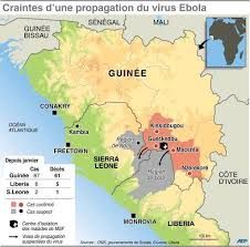 C’est le ministre de la Santé guinéen qui a pris contact avec Eva Marie Coll Seck pour identifier le Guinéen