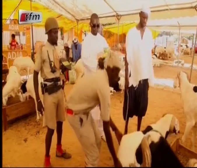 Video: Opération tabaski 2014 avec Sanekh et Per bou khar Épisode 5. Regardez