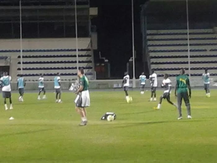 (9) Les images de la séance d&rsquo;entraînement des lions à Gaborone. Regardez
