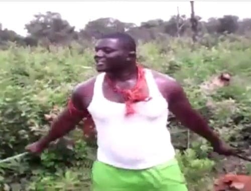 Vidéo: Balla Gaye 2 dans les plantations de Casamance. Regardez