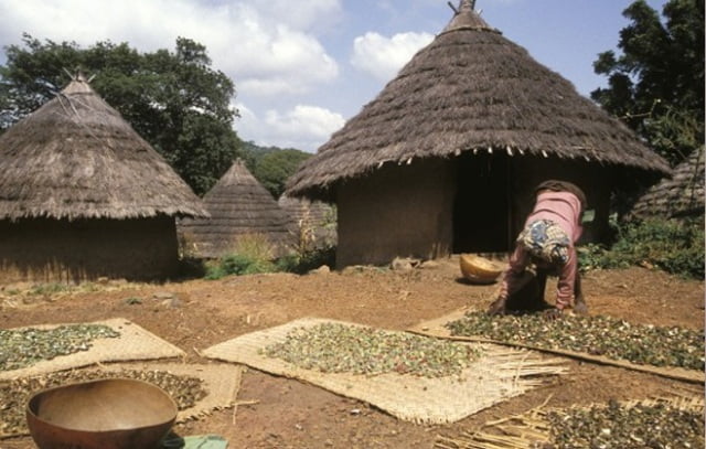 Monde rural: plus de 600 000 personnes auront besoin d’assistance (officiel)