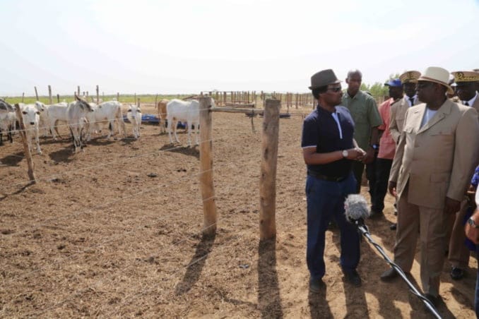 3 photos-Le Président Sall en visite dans la ferme de Baba Diao Itoc à Diama