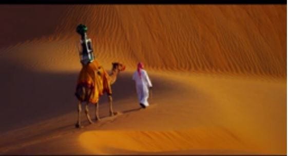 Vidéo-Google utilise un chameau pour des vues sur l’oasis de Liwa