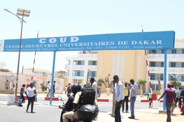 Népotisme et clientélisme dans le régime de Macky Sall : Le DG du COUD recrute 400 jeunes de sa localité