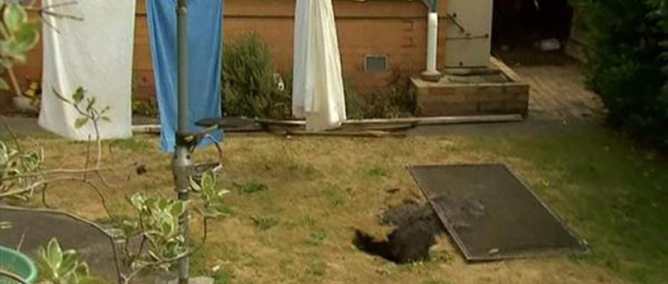Australie : Elle étendait son linge avant d’être happée par un trou terrestre