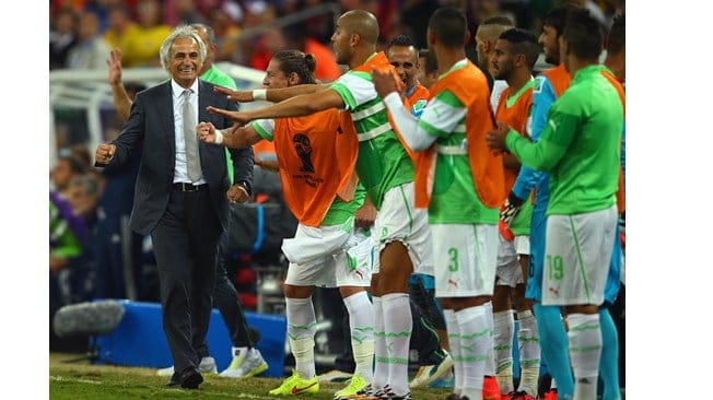 Halilhodzic : «L’Algérie est la seule qui méritait de gagner le Mondial»