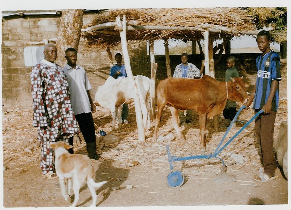 Vol de bétail : Tout  vendeur de viande sera  photographié  avec l’animal à immoler