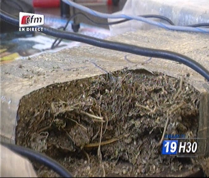 Vidéo: Plus de 2 tonnes de drogue saisies à Mbao !