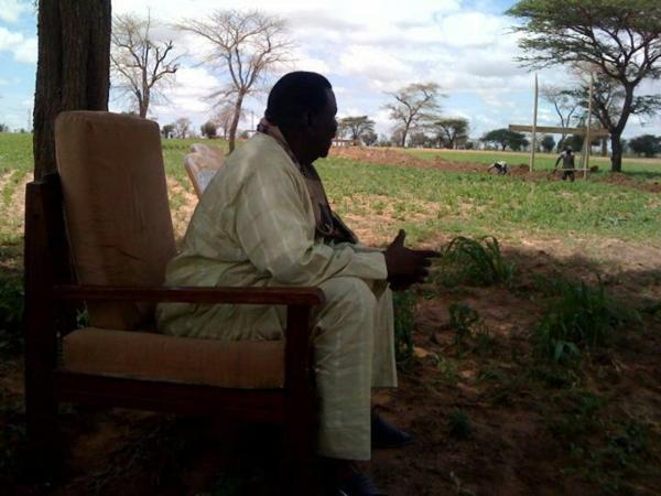 Magal Touba: Cheikh Béthio fait circuler dans Touba plus de 2000 boeufs