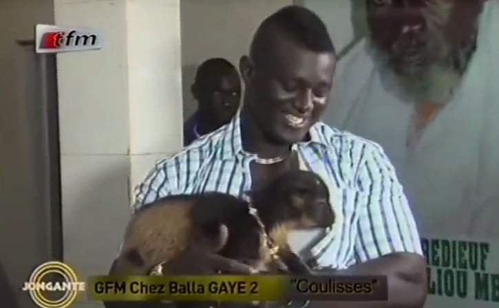 Vidéo: les coulisses « Jonganté » chez Balla Gaye 2. Regardez