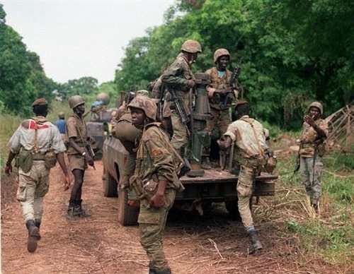 Casamance : les miltaires détruisent des champs de » Yamba » dans la zone de Sindian