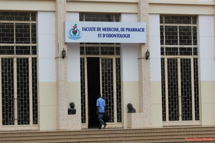 La Faculté de Médecine accueille finalement 767 nouveaux étudiants