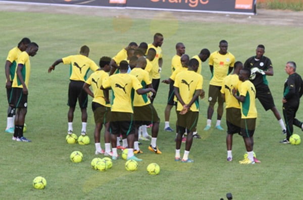 Can 2015: Les Lions mis dans des «conditions optimales de préparation  et  de participation»