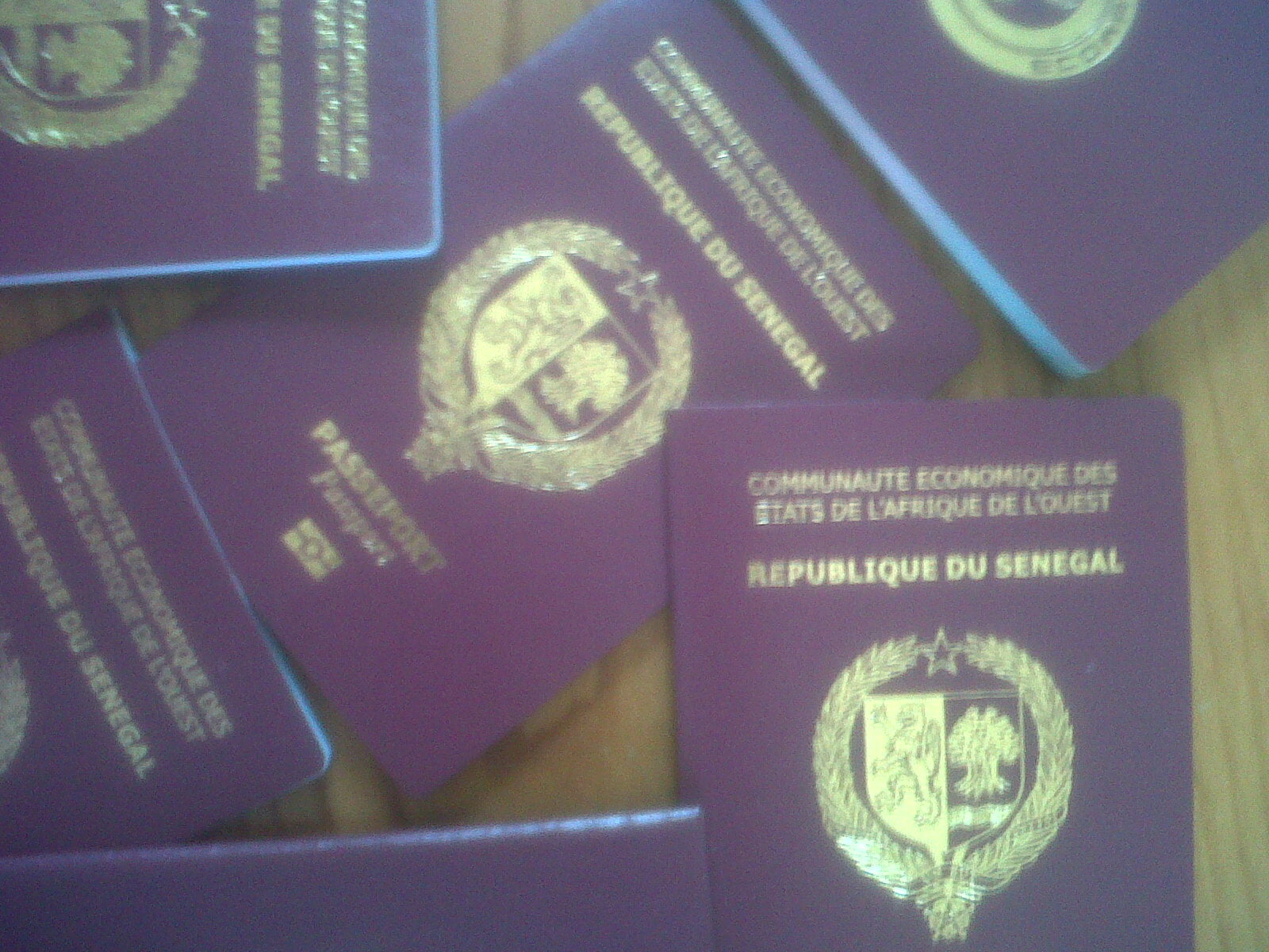 Retard dans la délivrance de passeports : L’ambassade du Sénégal au Canada annonce des mesures d’urgence