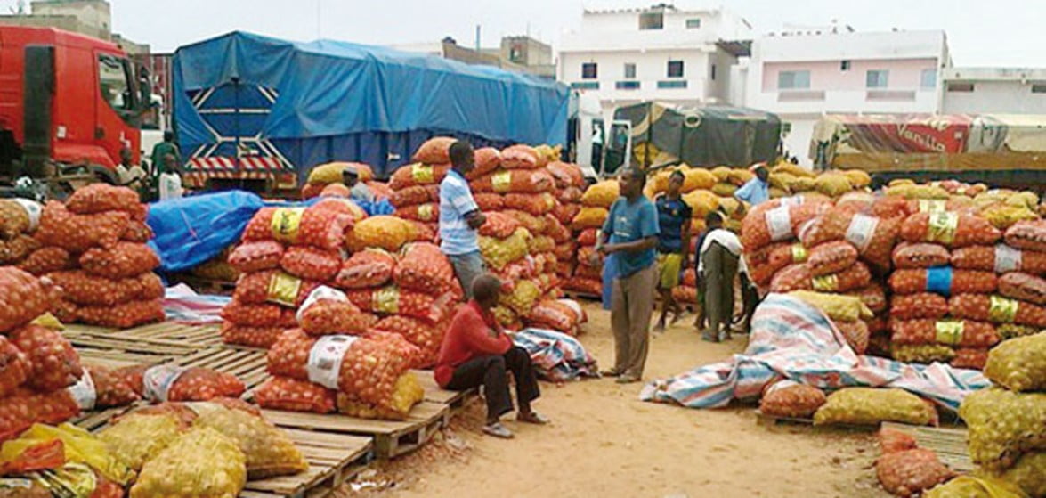  Plus d’importation de l’oignon au Sénégal, à partir du 16 février