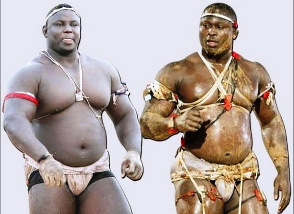Suivez en direct le Combat Modou Lô vs Bombardier en live streaming