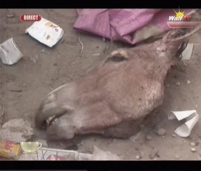 Vidéo: Il trouve une tête d’âne et une tête de cheval devant la porte de son atelier