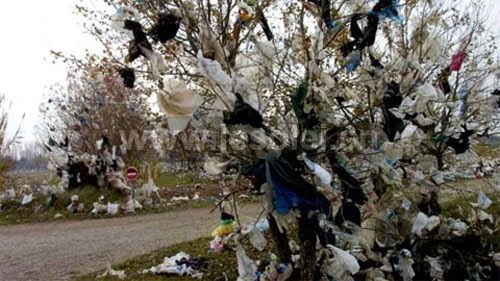Désastre écologique au Sénégal :  Près de 70 000 tonnes de déchets plastiques dans la nature