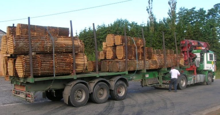 Coupe abusive de bois à Kolda – Un gendarme et ses 3 complices condamnés à 18 mois de prison ferme