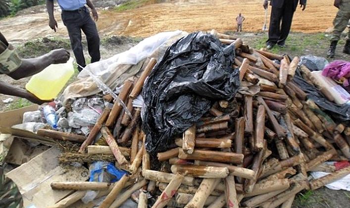 Près de 300 kg de chanvre indien et de médicaments contrefaits incinérés à Kaffrine