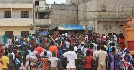 Audio: Un homme surpris en plein ébats sexuels avec une ânesse à Rufisque