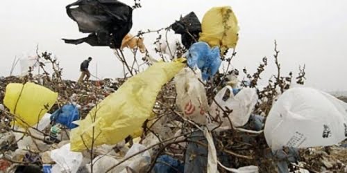 La loi interdisant l’utilisation des sachets plastiques entre en vigueur en janvier 2016