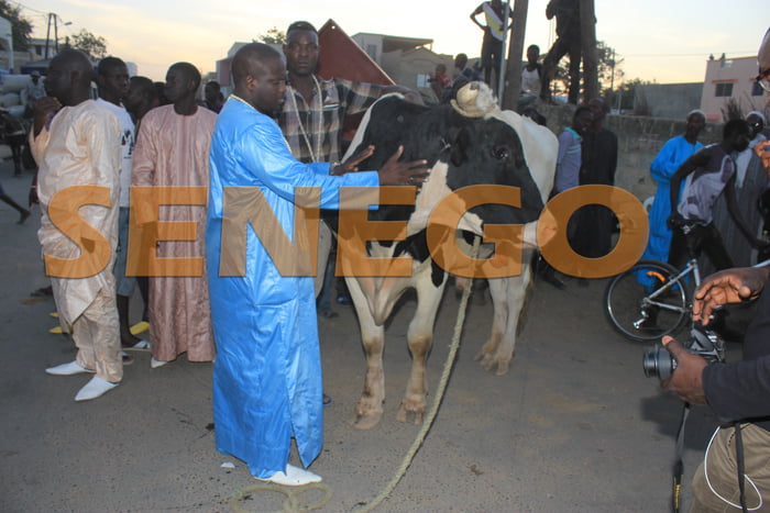 Abdoul Aziz Ndiaye (10)