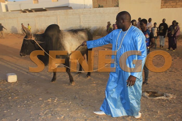 Abdoul Aziz Ndiaye (6)