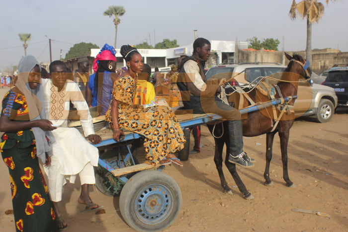 Réglementation du transport urbain : Les charrettes désormais soumises à des visites techniques