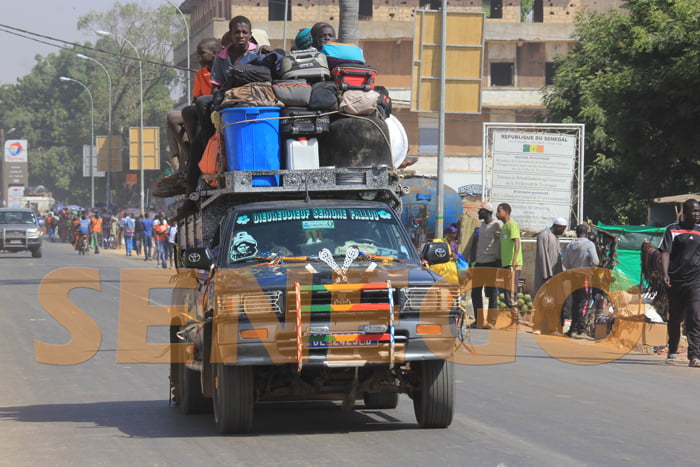 voiture de transport (1)