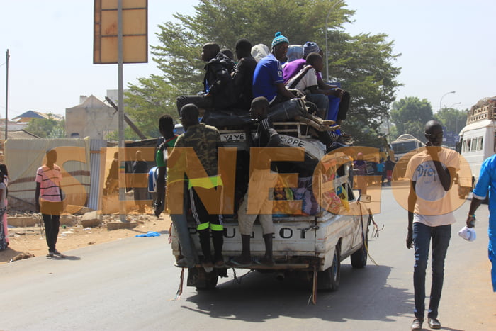 voiture de transport (5)