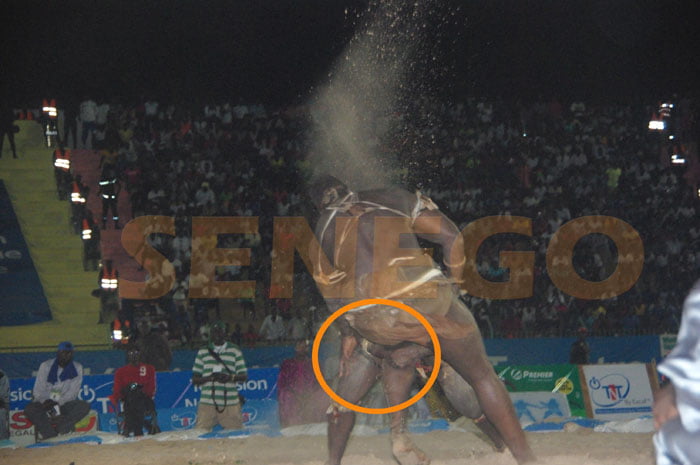 Ama bat Tapha Tine (1)