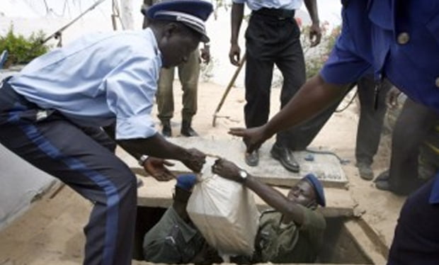 Bilan annuel de la gendarmerie: 9688 personnes arrêtées, 13 tonnes de chanvre…