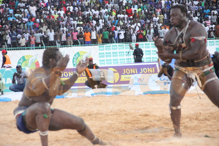 Gouye-gui vs Ama Baldé(5)