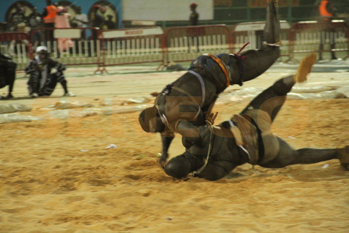 Moussa Ndoye bat Tonnerre (13)