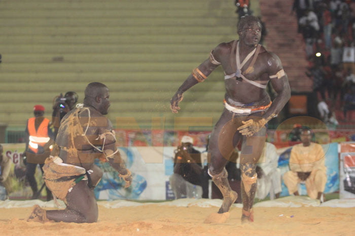 (16 photos)-Lutte: Tonnerre n’a pas grondé devant Moussa Ndoye, Regardez