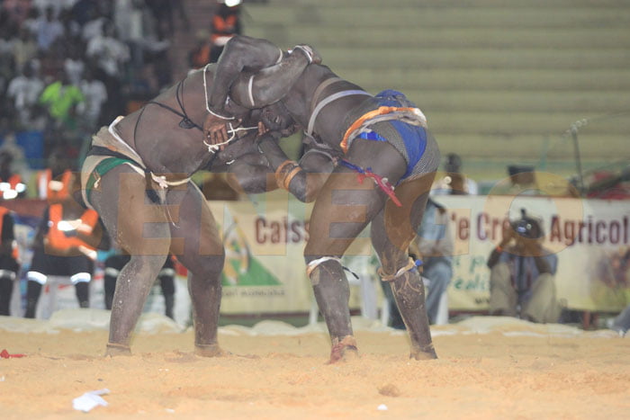 Moussa Ndoye bat Tonnerre (6)