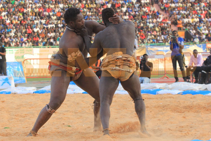 Tapha Tine bat Zoss (10)