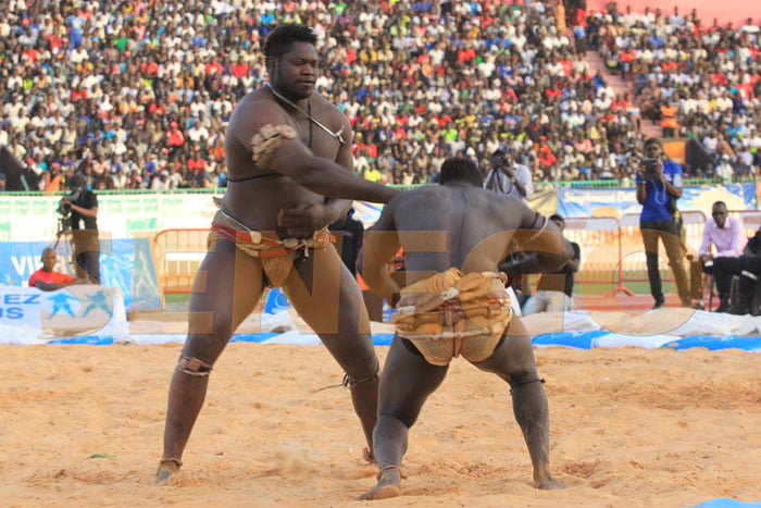 Tapha Tine bat Zoss (11)