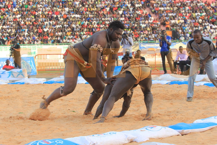 Tapha Tine bat Zoss (12)