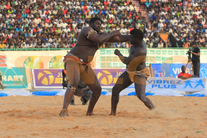 Tapha Tine bat Zoss (7)