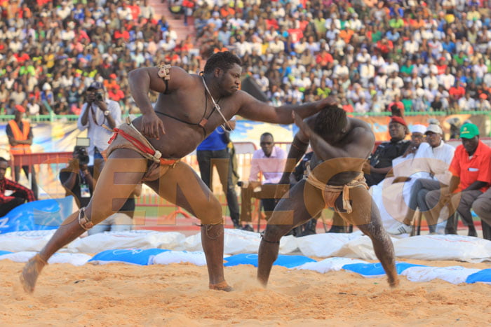 Tapha Tine bat Zoss (8)