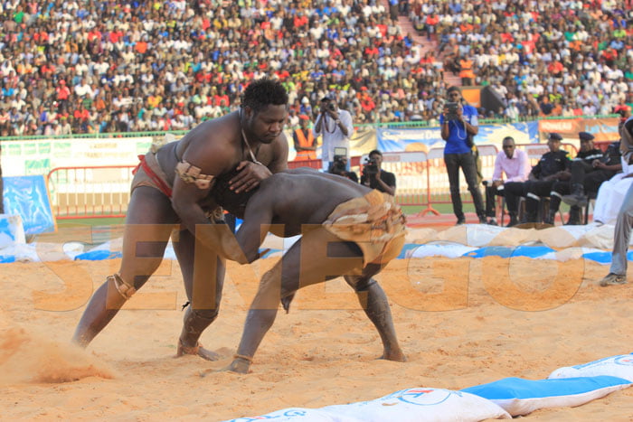 Tapha Tine bat Zoss (9)