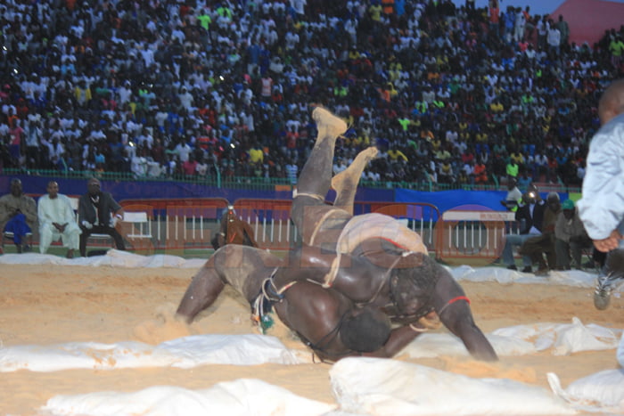 Gris 2 bat Ablaye Ndiaye (10)