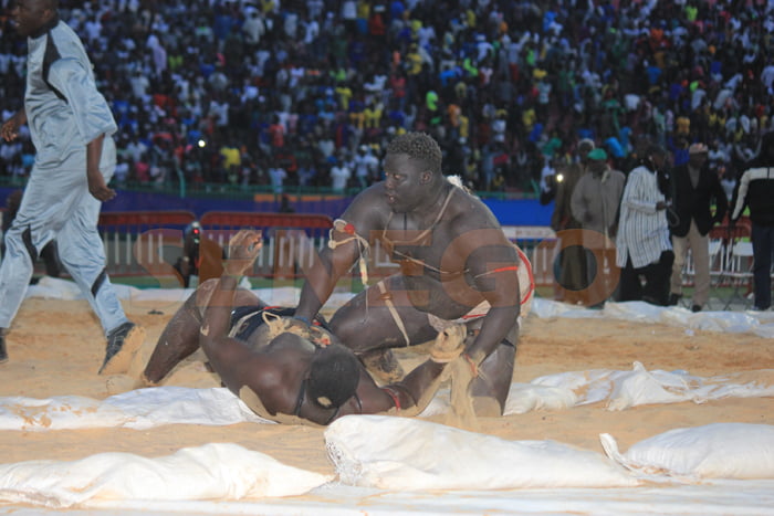 Gris 2 bat Ablaye Ndiaye (13)