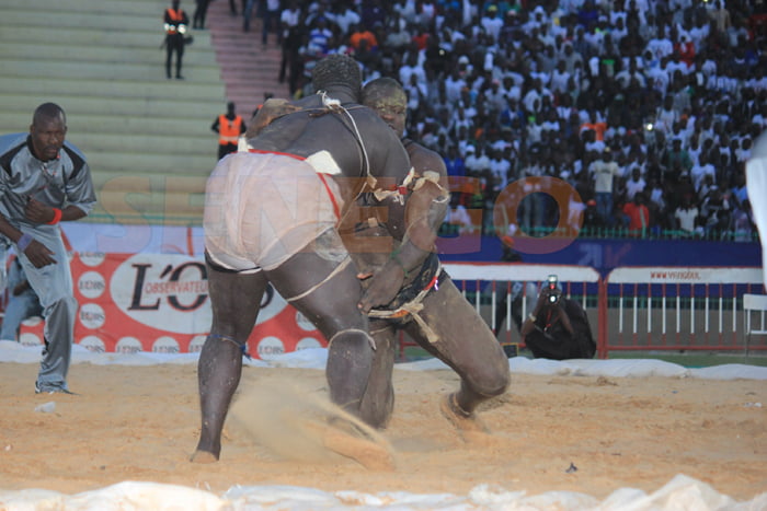 Gris 2 bat Ablaye Ndiaye (2)