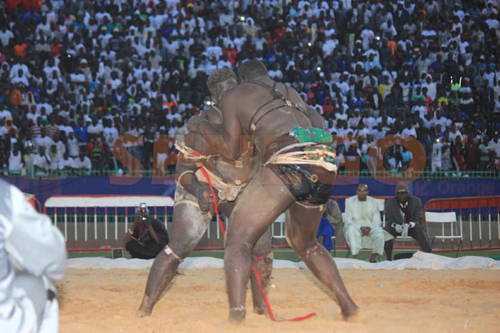 Gris 2 bat Ablaye Ndiaye (3)